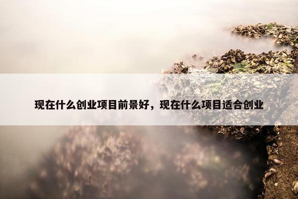 现在什么创业项目前景好，现在什么项目适合创业