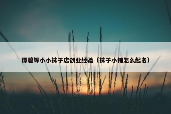 谭碧辉小小袜子店创业经验（袜子小铺怎么起名）