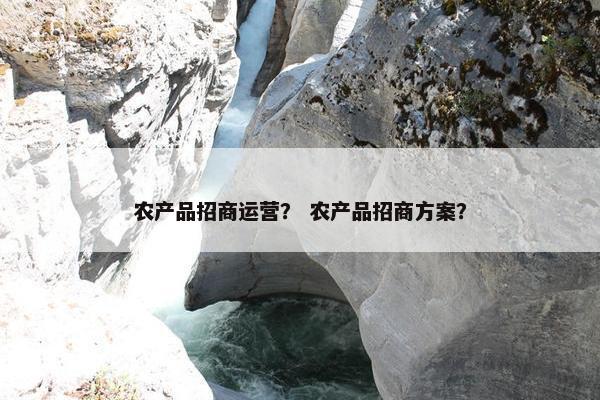 农产品招商运营？ 农产品招商方案？