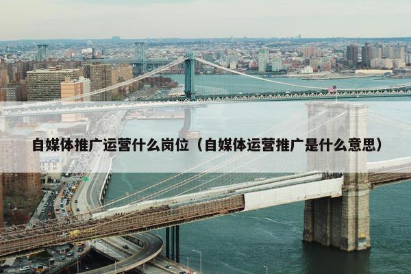 自媒体推广运营什么岗位（自媒体运营推广是什么意思）