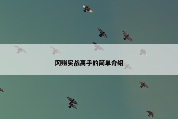 网赚实战高手的简单介绍