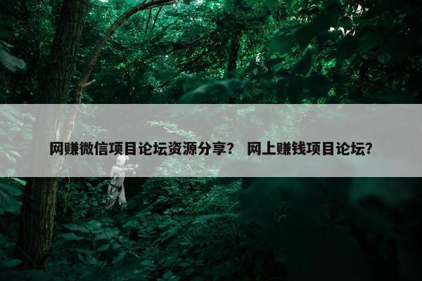 网赚微信项目论坛资源分享？ 网上赚钱项目论坛？