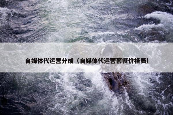 自媒体代运营分成（自媒体代运营套餐价格表）