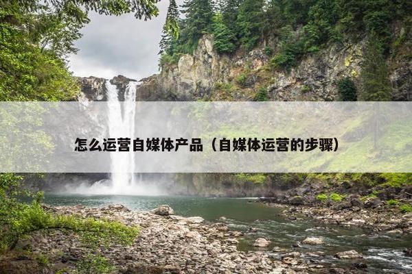 怎么运营自媒体产品（自媒体运营的步骤）