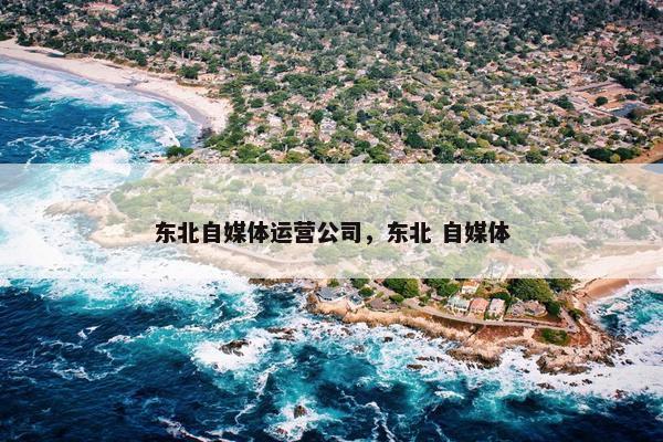 东北自媒体运营公司，东北 自媒体
