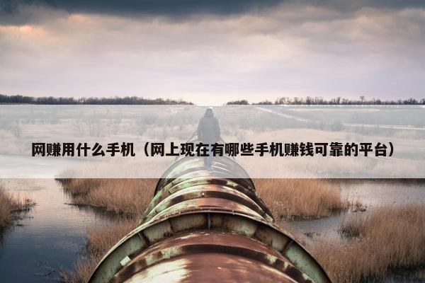 网赚用什么手机（网上现在有哪些手机赚钱可靠的平台）