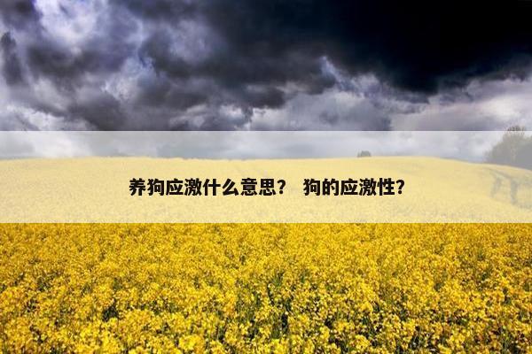 养狗应激什么意思？ 狗的应激性？