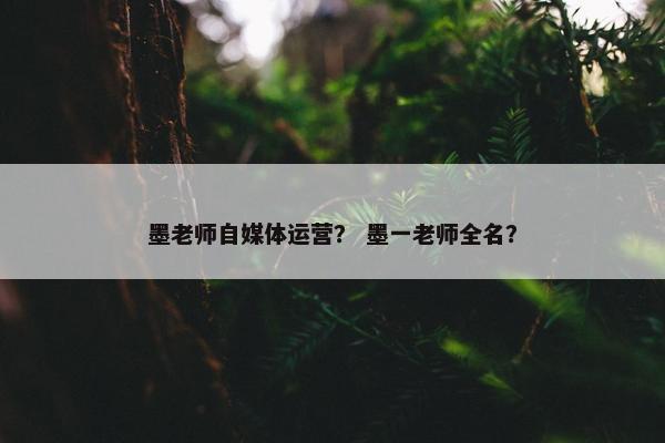 墨老师自媒体运营？ 墨一老师全名？