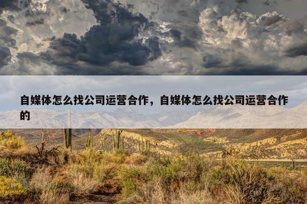 自媒体怎么找公司运营合作，自媒体怎么找公司运营合作的