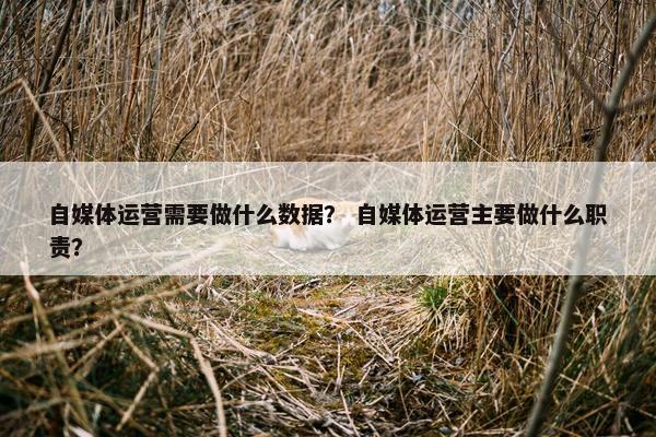 自媒体运营需要做什么数据？ 自媒体运营主要做什么职责？