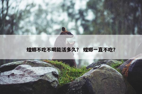 螳螂不吃不喝能活多久? 螳螂一直不吃?