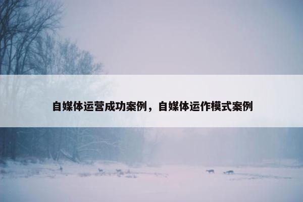 自媒体运营成功案例,自媒体运作模式案例