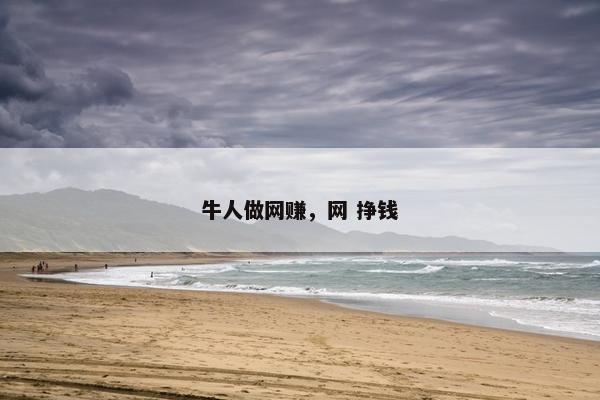 牛人做网赚,网 挣钱