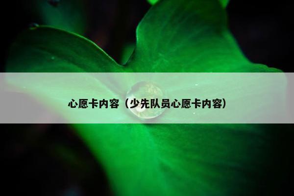 心愿卡内容(少先队员心愿卡内容)