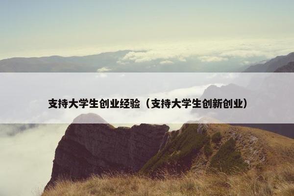 支持大学生创业经验（支持大学生创新创业）