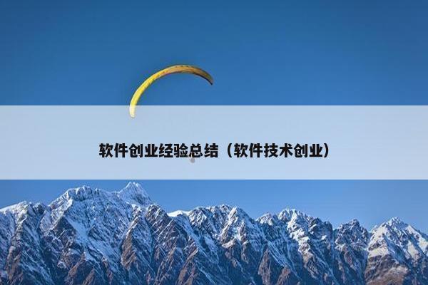软件创业经验总结（软件技术创业）