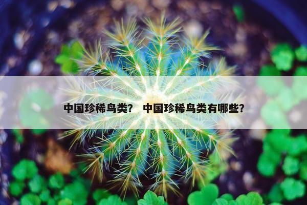 中国珍稀鸟类? 中国珍稀鸟类有哪些?