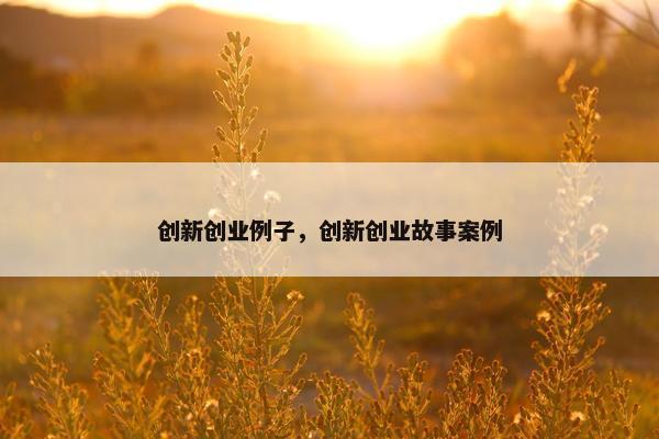 创新创业例子,创新创业故事案例