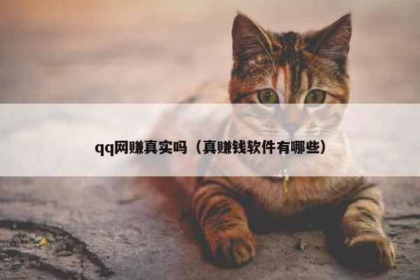qq网赚真实吗(真赚钱软件有哪些)
