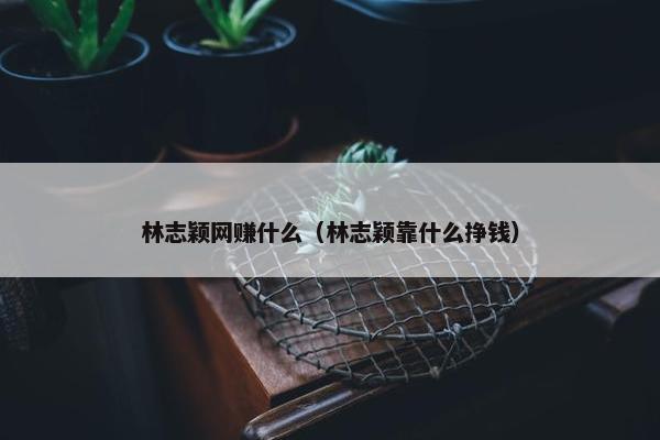 林志颖网赚什么(林志颖靠什么挣钱)