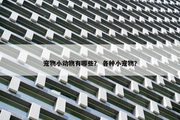 宠物小动物有哪些？ 各种小宠物？