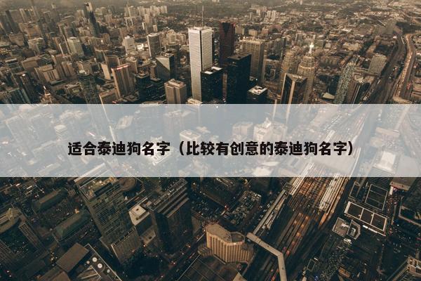 适合泰迪狗名字（比较有创意的泰迪狗名字）