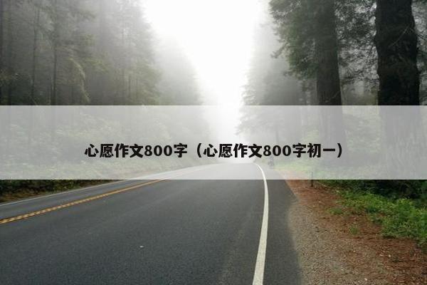 心愿作文800字（心愿作文800字初一）