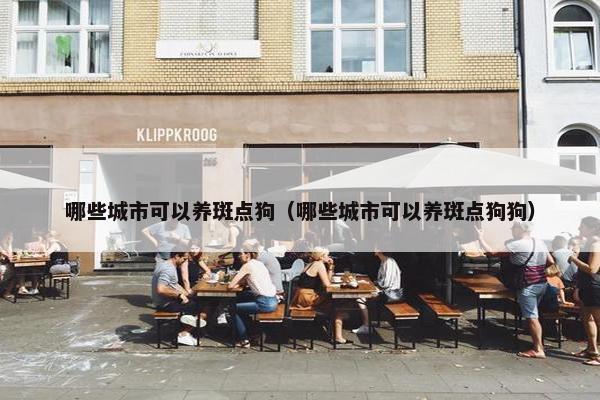 哪些城市可以养斑点狗（哪些城市可以养斑点狗狗）
