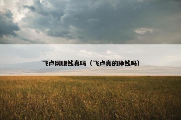 飞卢网赚钱真吗（飞卢真的挣钱吗）