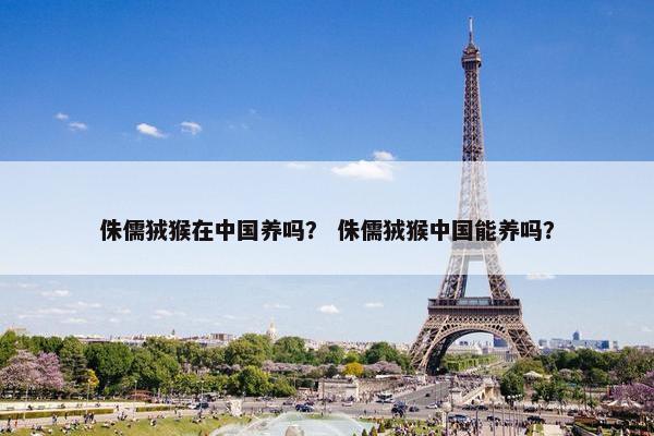 侏儒狨猴在中国养吗？ 侏儒狨猴中国能养吗？