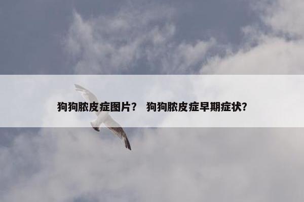 狗狗脓皮症图片？ 狗狗脓皮症早期症状？