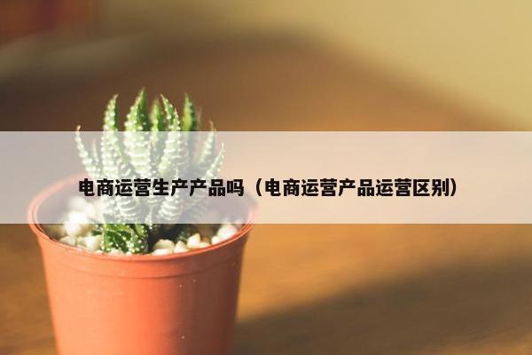 电商运营生产产品吗（电商运营产品运营区别）