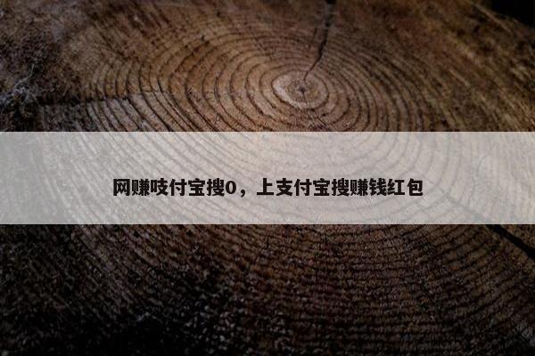 网赚吱付宝搜0，上支付宝搜赚钱红包
