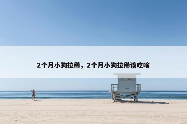 2个月小狗拉稀，2个月小狗拉稀该吃啥