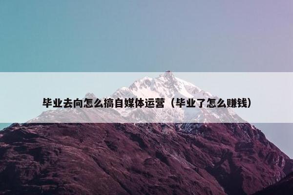 毕业去向怎么搞自媒体运营(毕业了怎么赚钱)