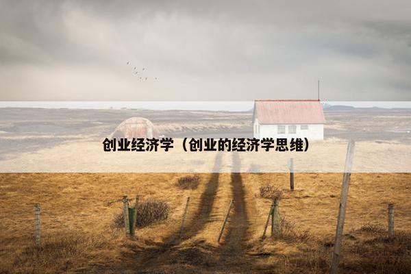 创业经济学(创业的经济学思维)