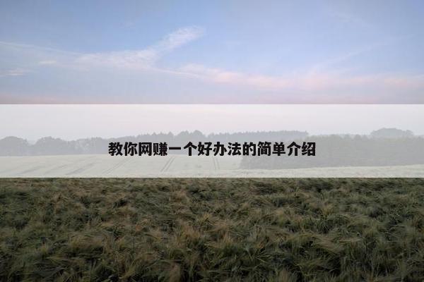 教你网赚一个好办法的简单介绍