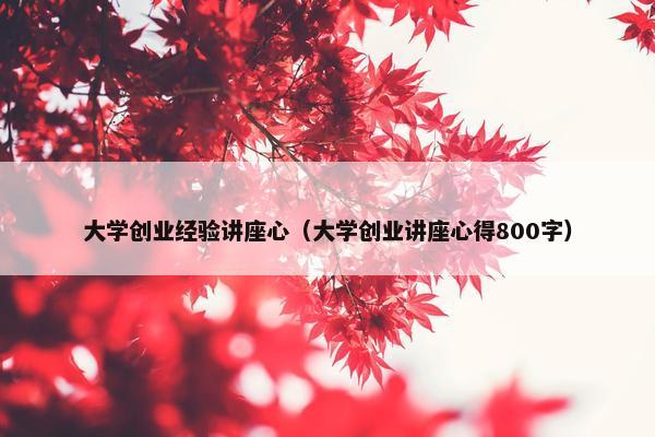大学创业经验讲座心(大学创业讲座心得800字)