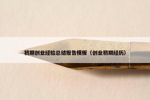 初期创业经验总结报告模板（创业初期经历）
