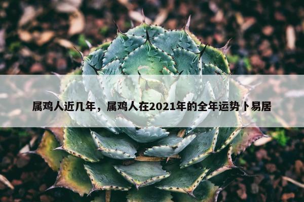 属鸡人近几年，属鸡人在2021年的全年运势卜易居