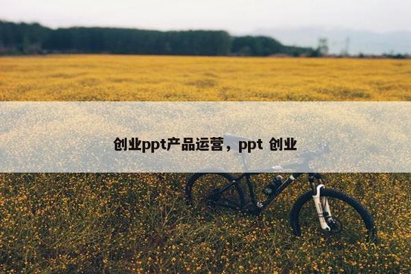 创业ppt产品运营，ppt 创业