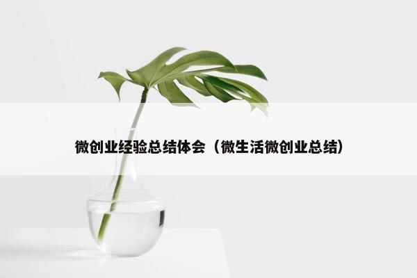微创业经验总结体会（微生活微创业总结）