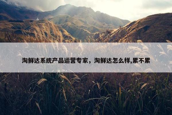 淘鲜达系统产品运营专家，淘鲜达怎么样,累不累
