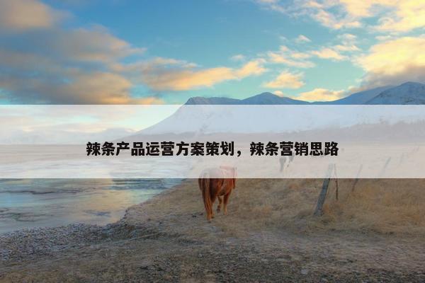 辣条产品运营方案策划，辣条营销思路