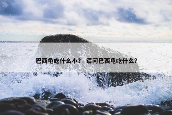 巴西龟吃什么小？ 请问巴西龟吃什么？
