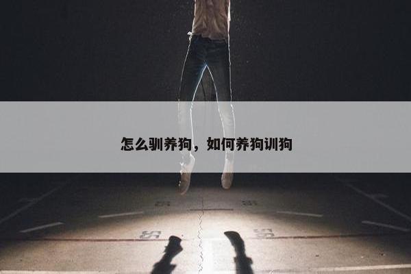 怎么驯养狗，如何养狗训狗