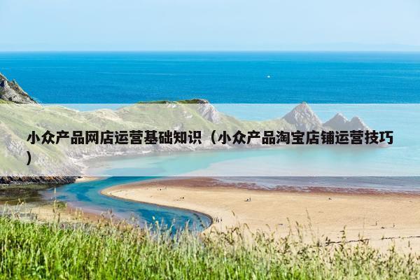 小众产品网店运营基础知识（小众产品淘宝店铺运营技巧）
