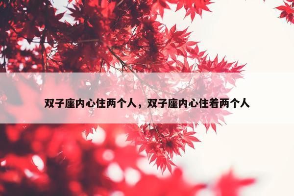双子座内心住两个人，双子座内心住着两个人
