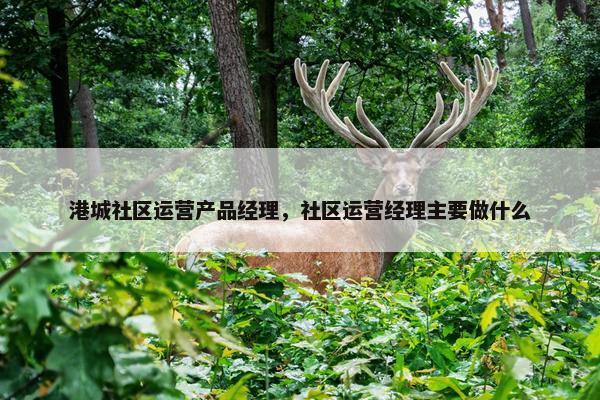 港城社区运营产品经理，社区运营经理主要做什么