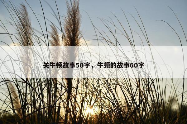 关牛顿故事50字，牛顿的故事60字